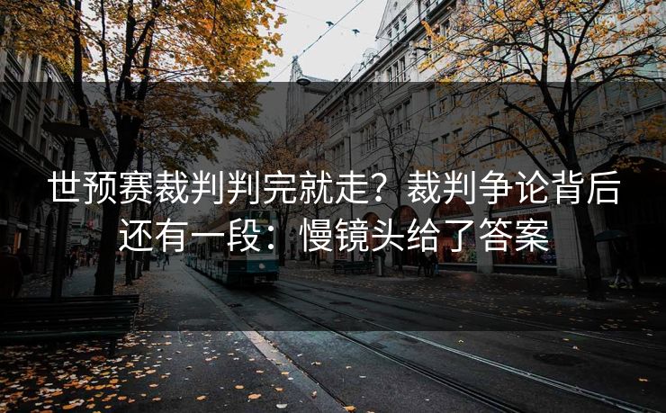 世预赛裁判判完就走?裁判争论背后还有一段:慢镜头给了答案